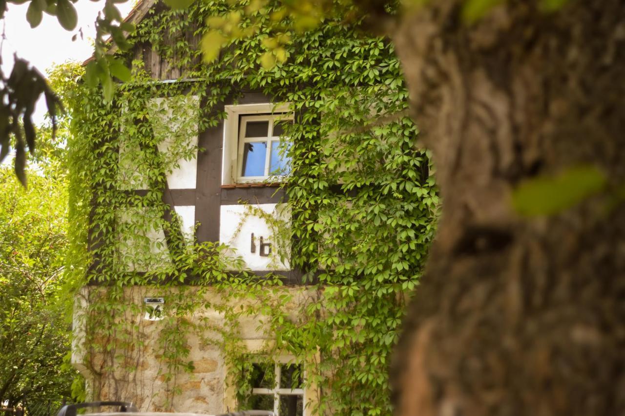 Naturferienwohnung Schopstal Kunnersdorf Kültér fotó