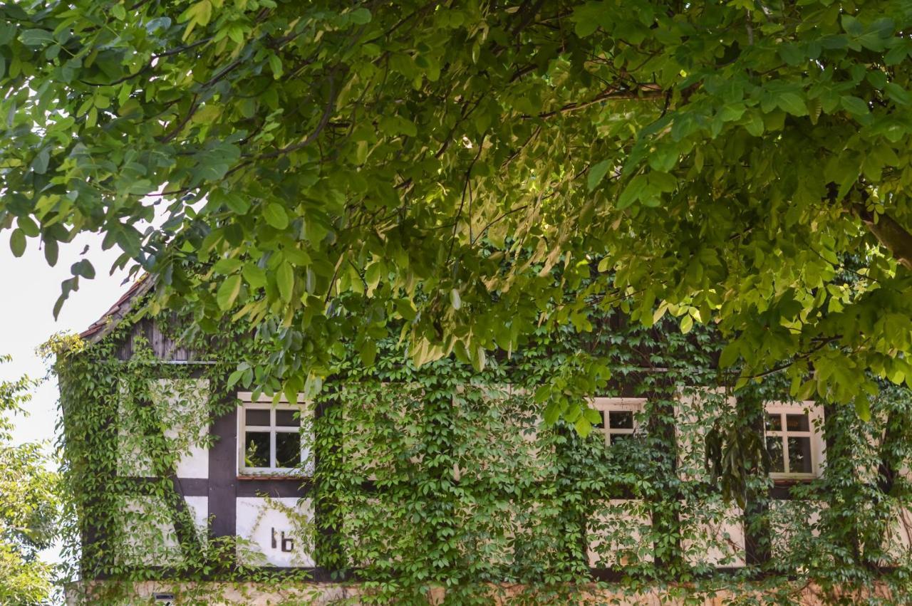 Naturferienwohnung Schopstal Kunnersdorf Kültér fotó